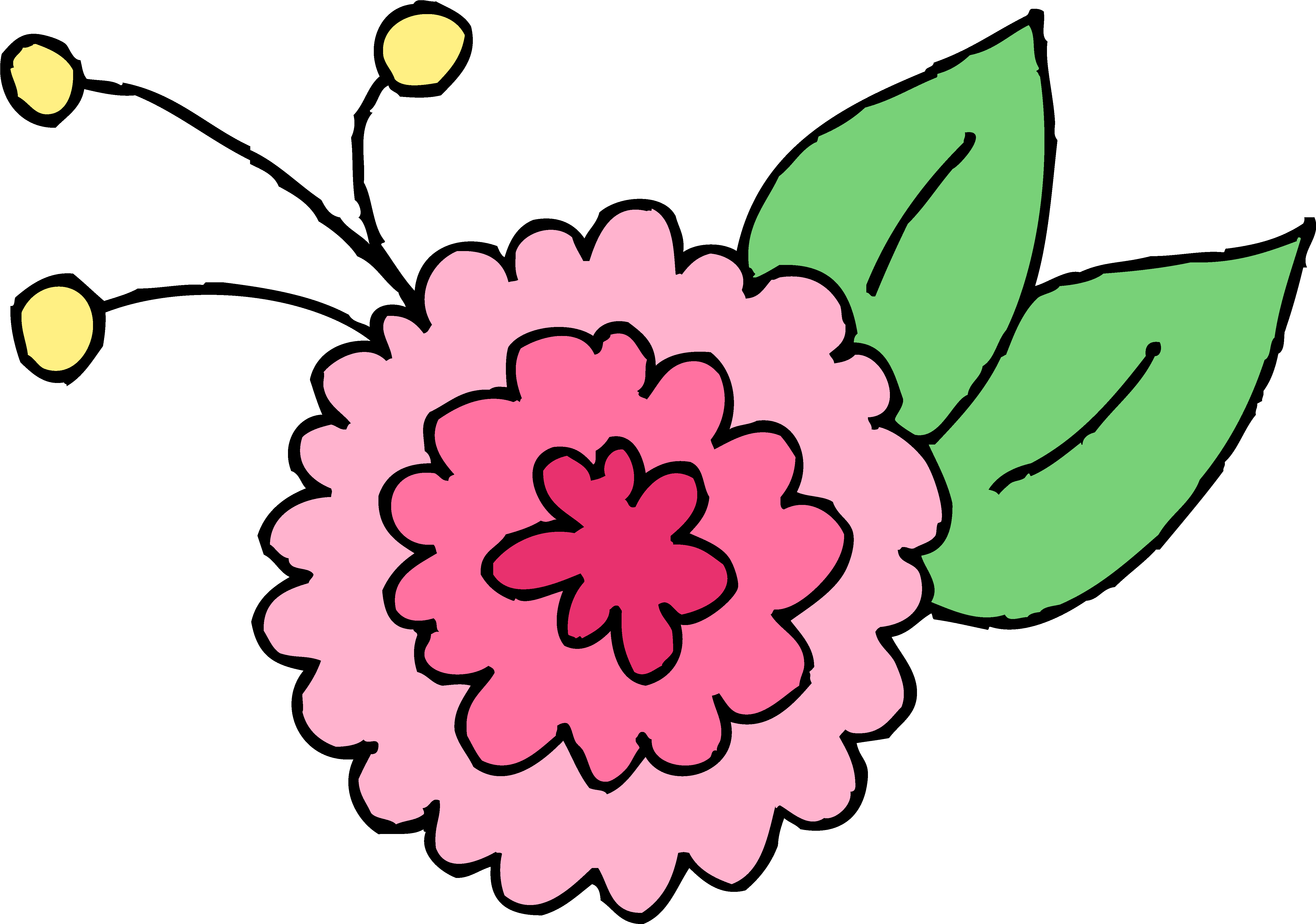 Hoa cúc clip nghệ thuật, phim hoạt hình hoa cúc