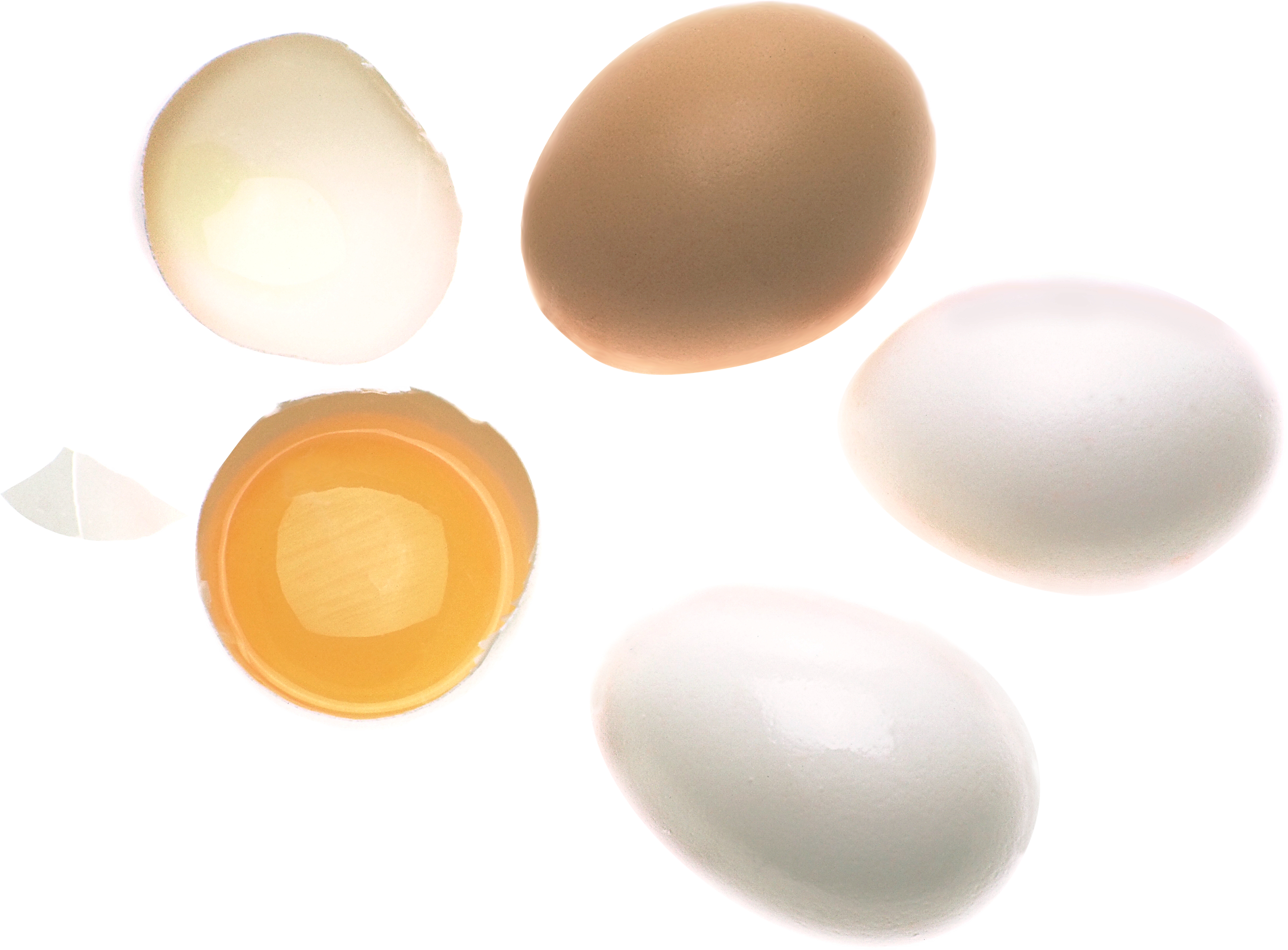 Trứng và lòng đỏ