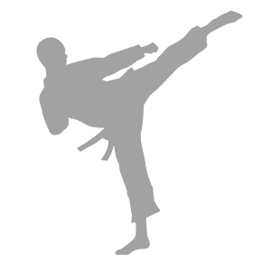 Hình bóng karate